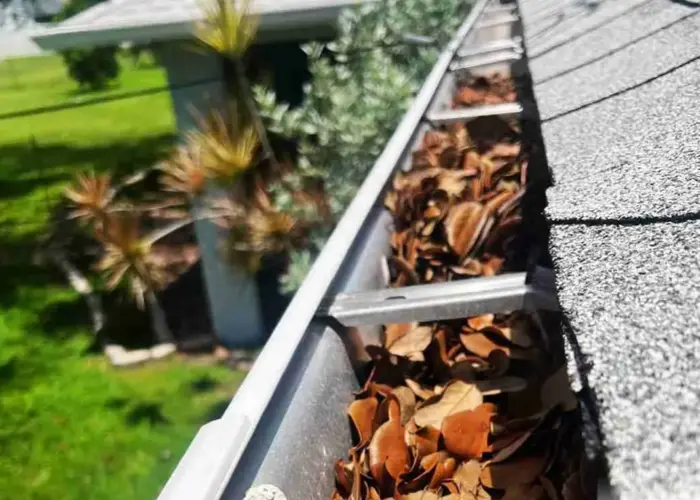 Elkmont gutter cleaning home page